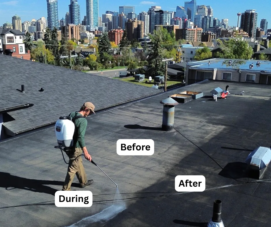 Worker applying roof treatment to a flat roof with stages labeled